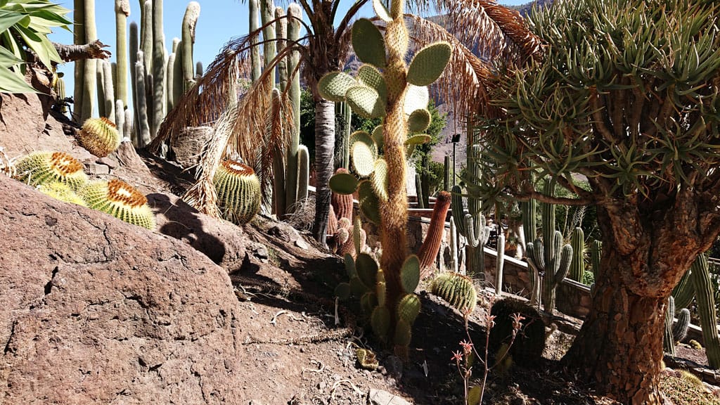 Cactualdea - Photo from the largest Cactus Park in Europe